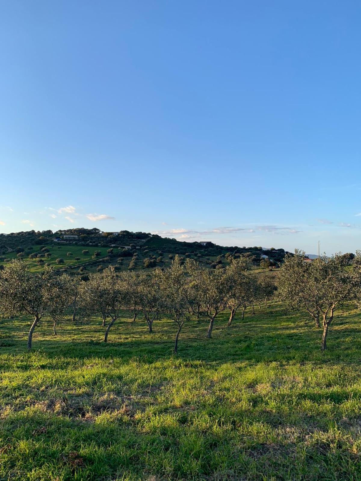 Macciuneddu Country Retreat Golfo Aranci Exterior foto